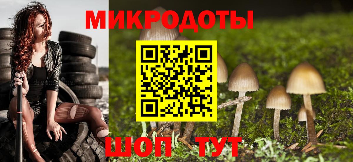 Галлюциногенные грибы мицелий Изобильный